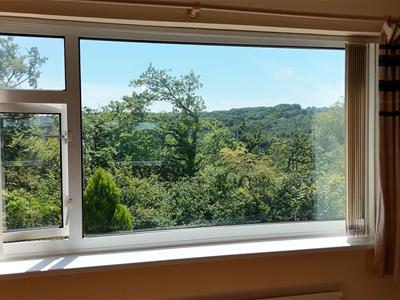 Picture 28